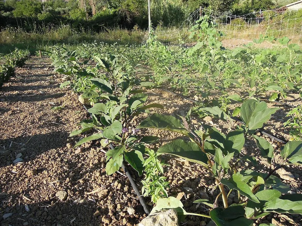Agriturismo Cuca Polizzi Generosa Farm stay